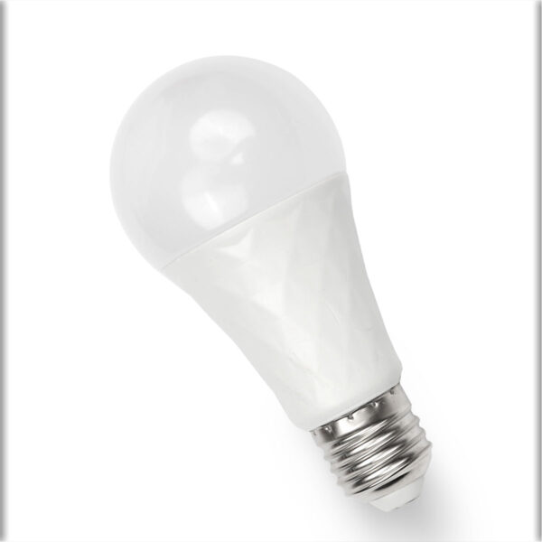 Led Bulb A65-12w- 1year w