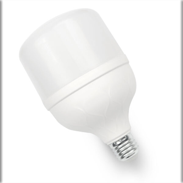 Led Bulb T100-30w- 2year w